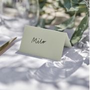 Sage Wedding Place Cards 10pk