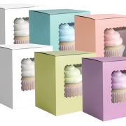 Scalloped Single Cupcake Box 6pk – Mixed