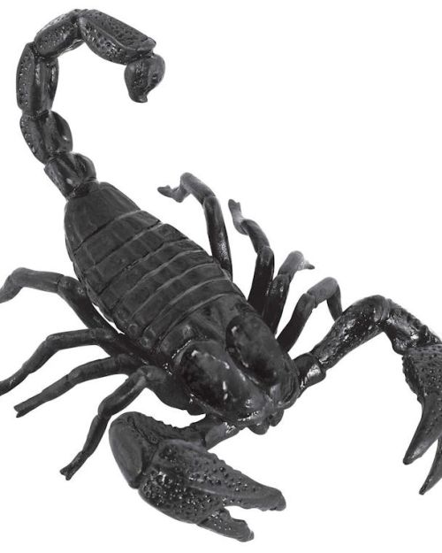 Giant Scorpion Prop