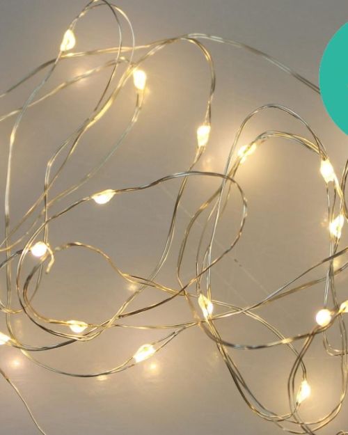 Seed Lights – 5m Warm White