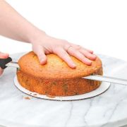 Serrated Cake Knife