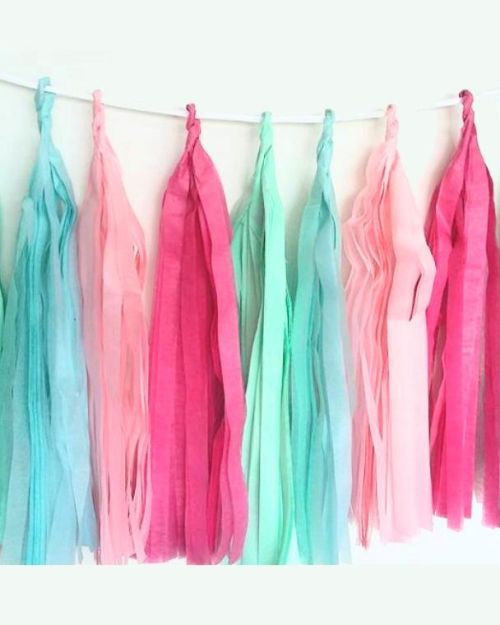 Tissue Tassel Garland – Sherbet