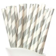 Paper Straws Silver Stripes 24pk