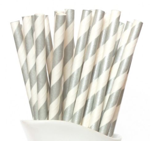 Paper Straws Silver Stripes 24pk