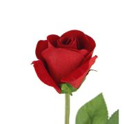 Single Flocked Red Rose