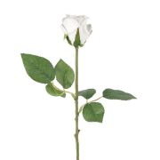 Single Flocked White Rose