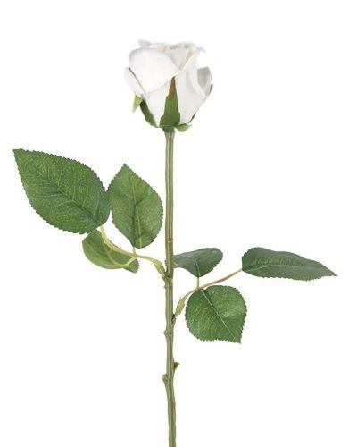 Single Flocked White Rose