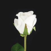 Single Flocked White Rose