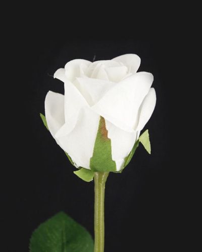Single Flocked White Rose