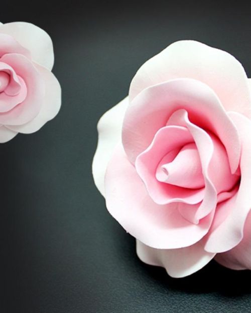 Single Gumpaste Rose Large – Pink