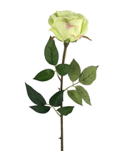 Single Rose – Light Green