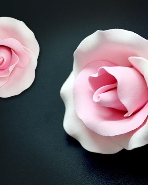 Single Gumpaste Rose Medium – Pink