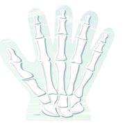 Skeleton Hand Shaped Treat Bags 10pk