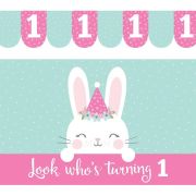 Some Bunny High Chair Kit