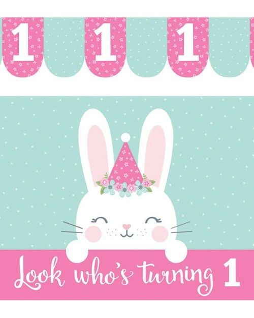 Some Bunny High Chair Kit