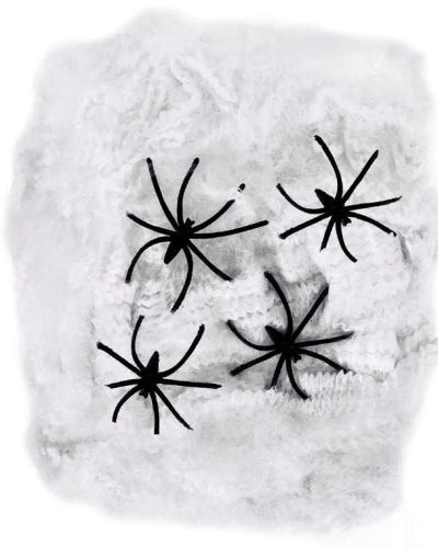White Stretchable Spider Web with Spiders
