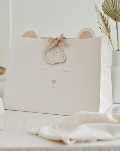 Teddy Bear Baby Shower Gift Bag