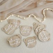 Teddy Bear Wooden Baby Milestone Signs