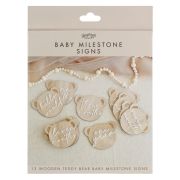 Teddy Bear Wooden Baby Milestone Signs