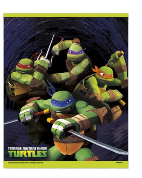 Teenage Mutant Ninja Turtles Loot Bags – 8pk