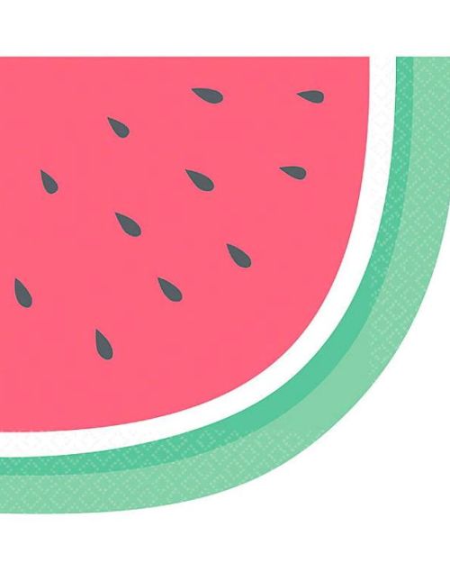 Just Chillin Watermelon Lunch Napkins 16pk