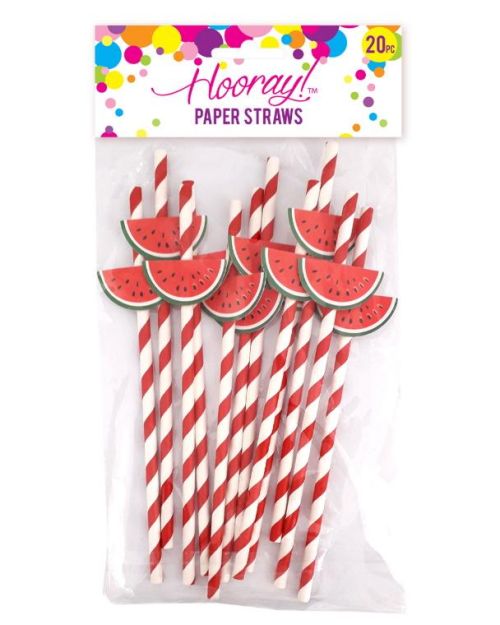 Watermelon Slices Paper Straws 20pk