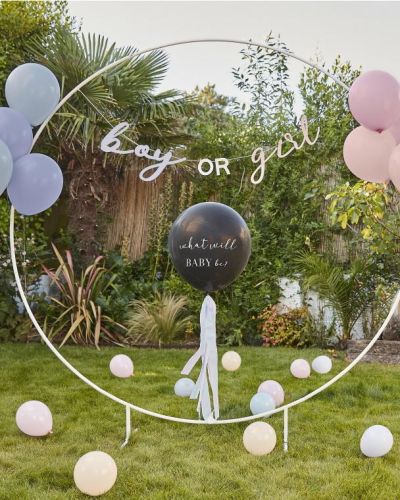 What Will Baby Be? Gender Reveal Balloon Kit