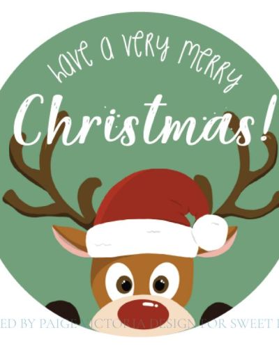 Reindeer Edible Cake Topper – Green